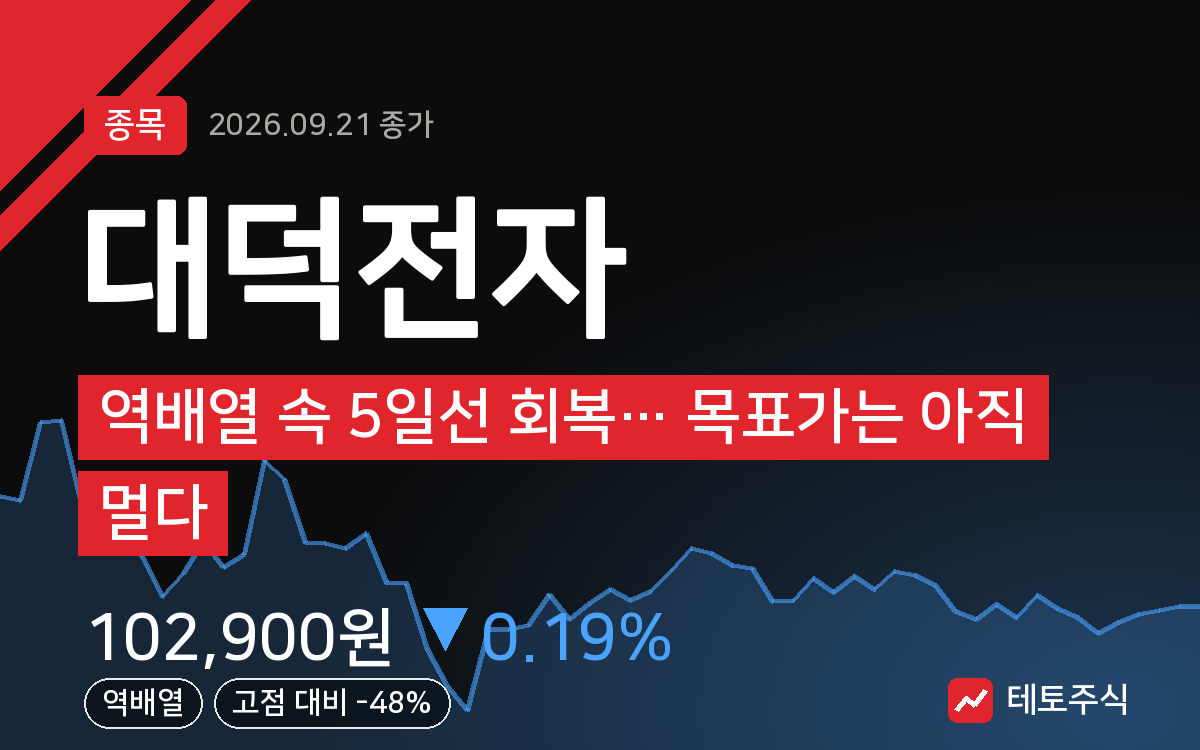 대덕전자 핵심 요약