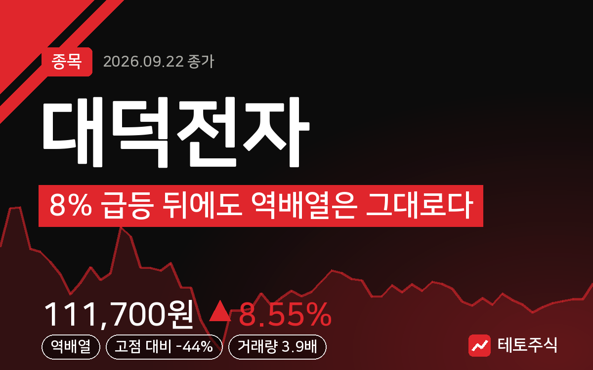 대덕전자 핵심 요약