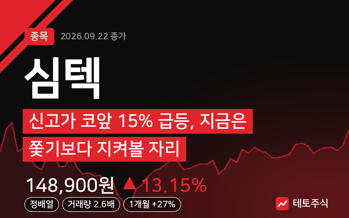 심텍 핵심 요약